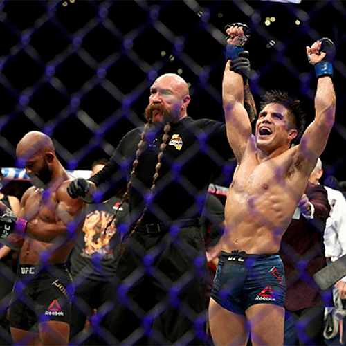 Henry Cejudo vs demetrious johnson